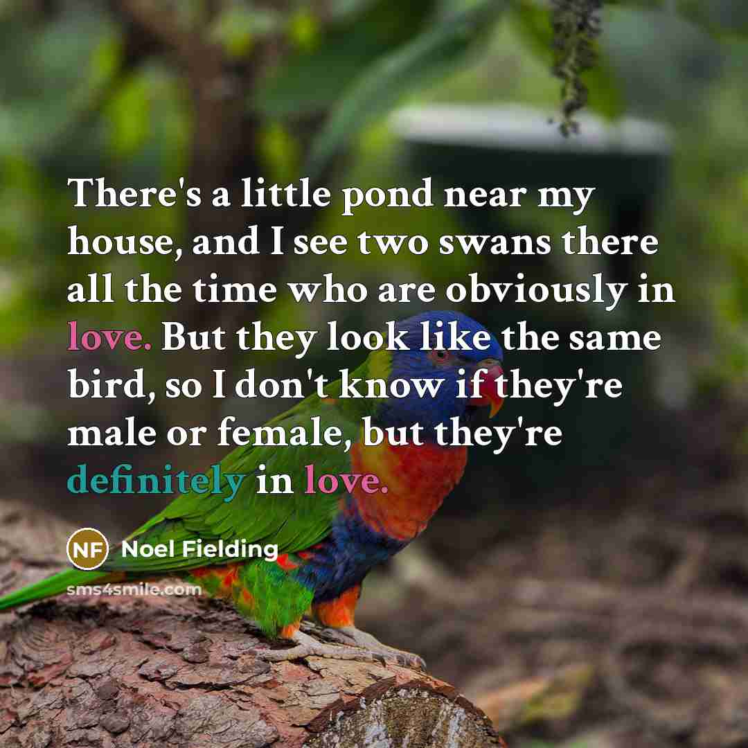 “There's a little pond near my house, and I see…” quote by Noel Fielding