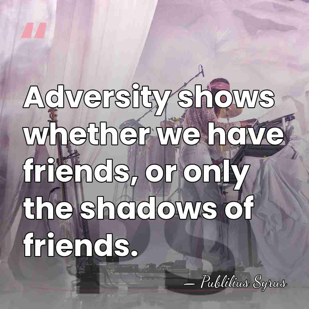 Adversity shows whether we have friends, or only the shadows of friends. - Publilius Syrus