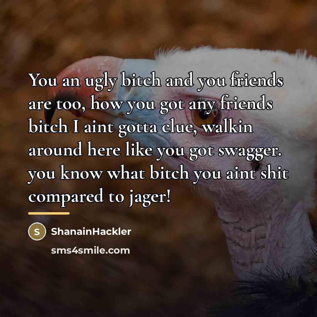 “You an ugly bitch and you friends are too, how…” quote by ShanainHackler