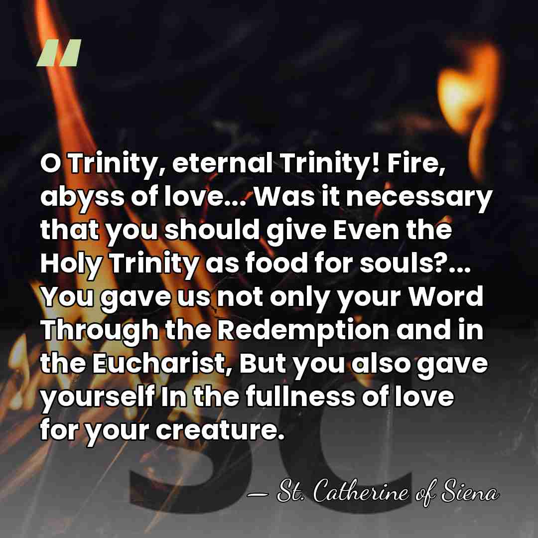 O Trinity, eternal Trinity! Fire, abyss of love... Was it necessary that&hellip; - St. Catherine of Siena