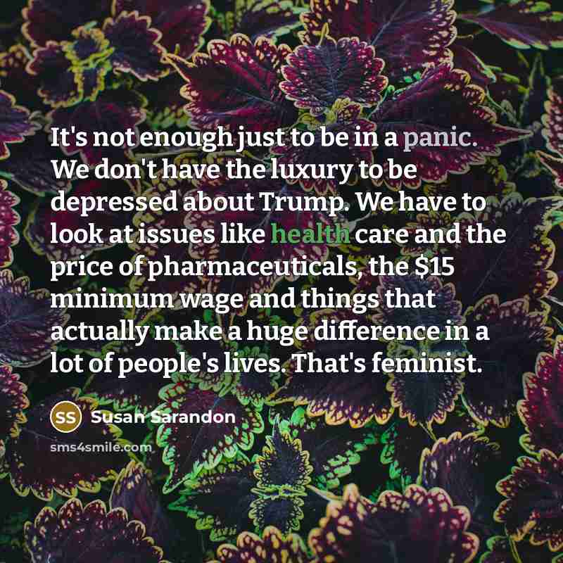“It's not enough just to be in a panic. We…” quote by Susan Sarandon