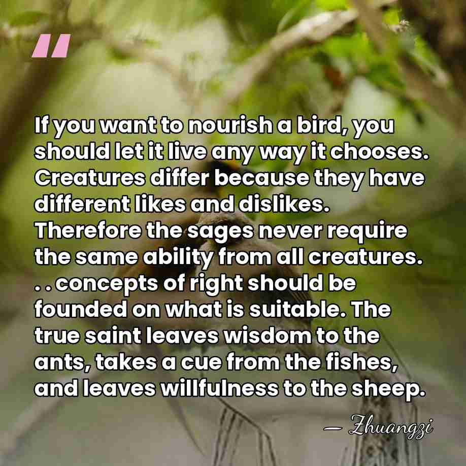 If you want to nourish a bird, you should let it live&hellip; - Zhuangzi