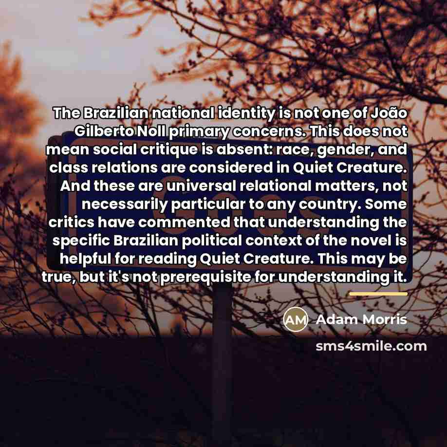 “The Brazilian national identity is not one of João Gilberto…” quote by Adam Morris