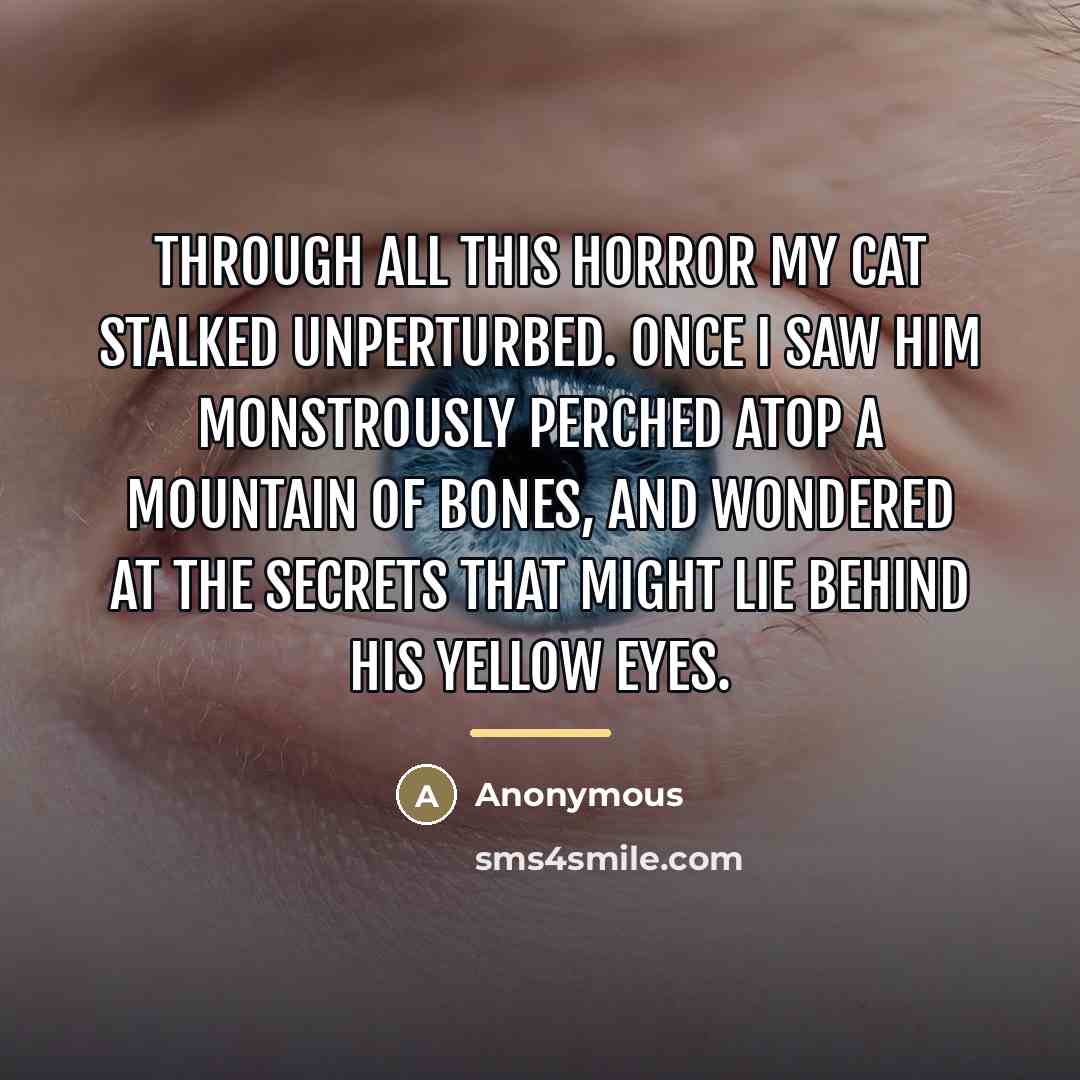 “Through all this horror my cat stalked unperturbed. Once I…” quote by Anonymous