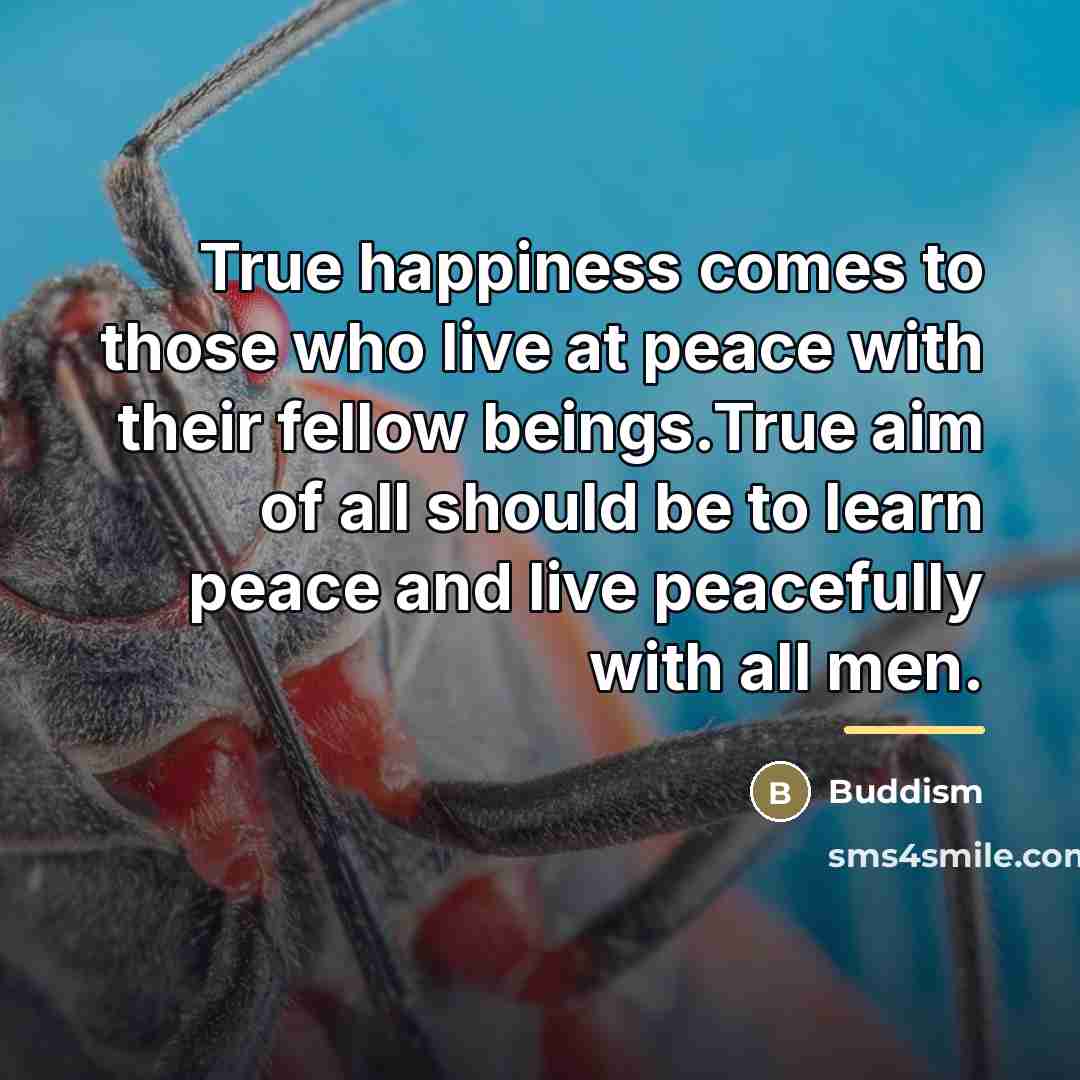 “True happiness comes to those who live at peace with…” quote by Buddism