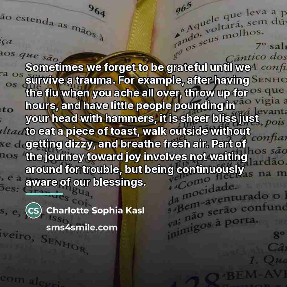 “Sometimes we forget to be grateful until we survive a…” quote by Charlotte Sophia Kasl