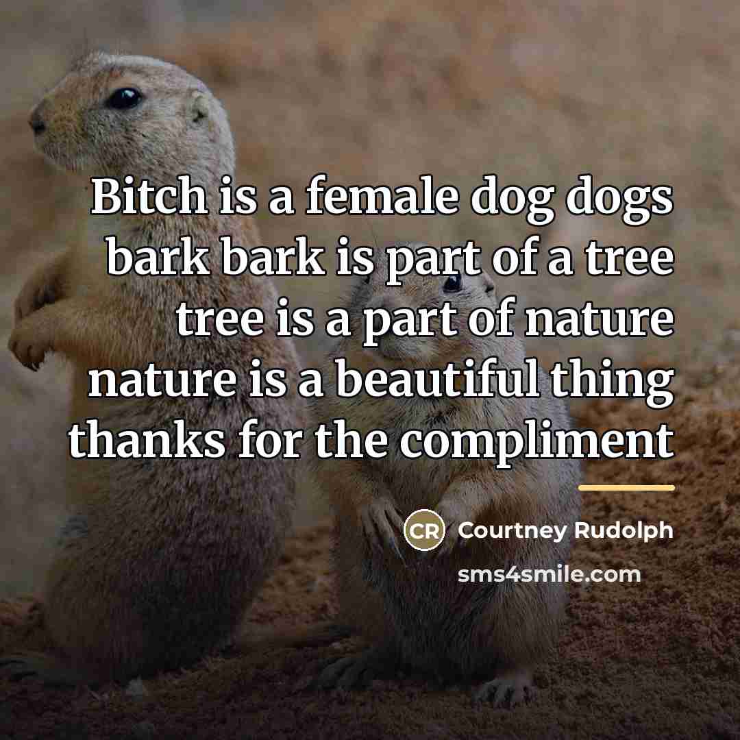“Bitch is a female dog dogs bark bark is part…” quote by Anonymous