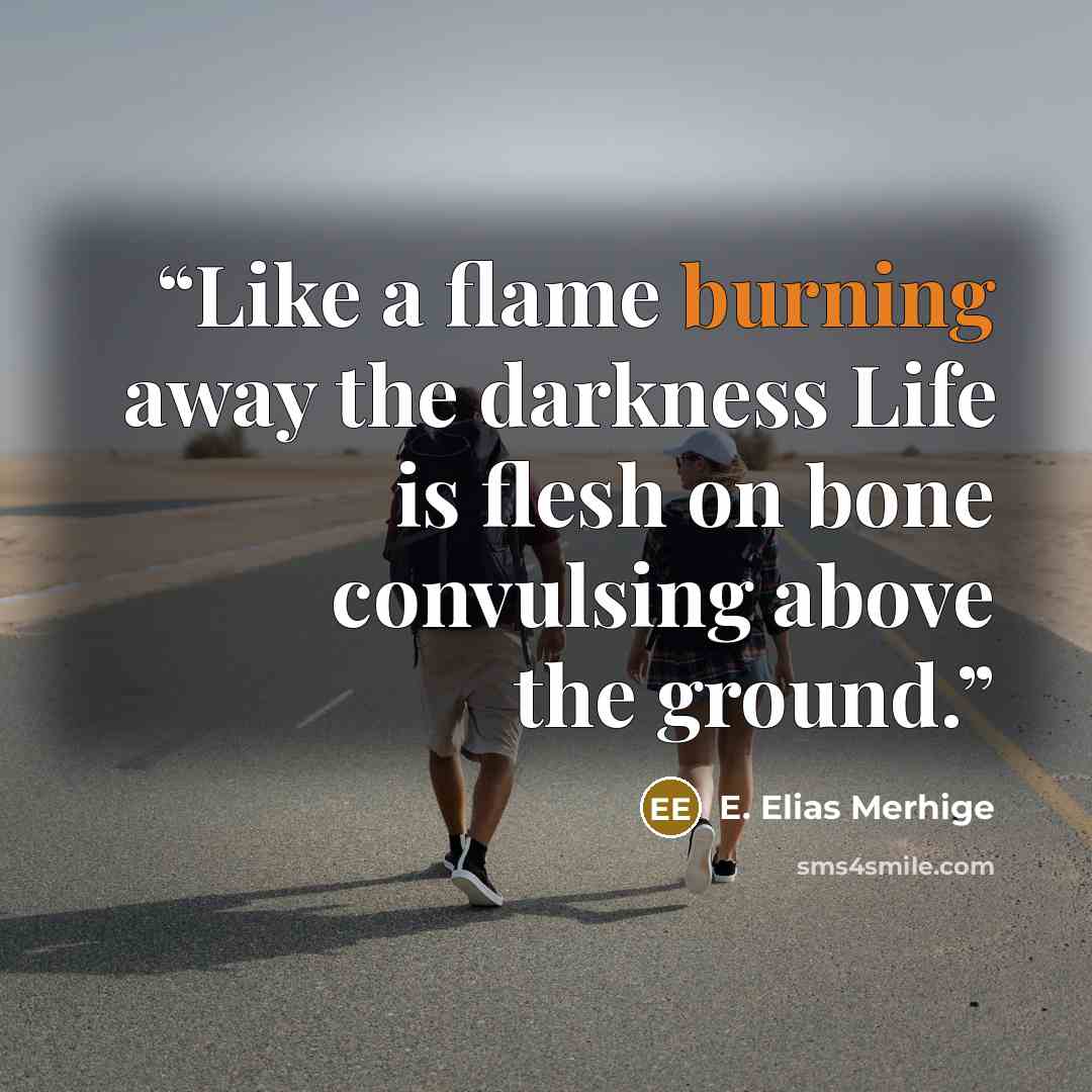 “Like a flame burning away the darkness Life is flesh on bone convulsing above the ground.” quote by E. Elias Merhige