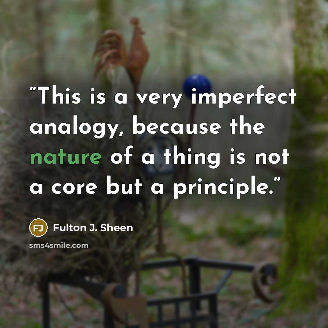 “This is a very imperfect analogy, because the nature of a thing is not a core but a principle.” quote by Fulton J. Sheen