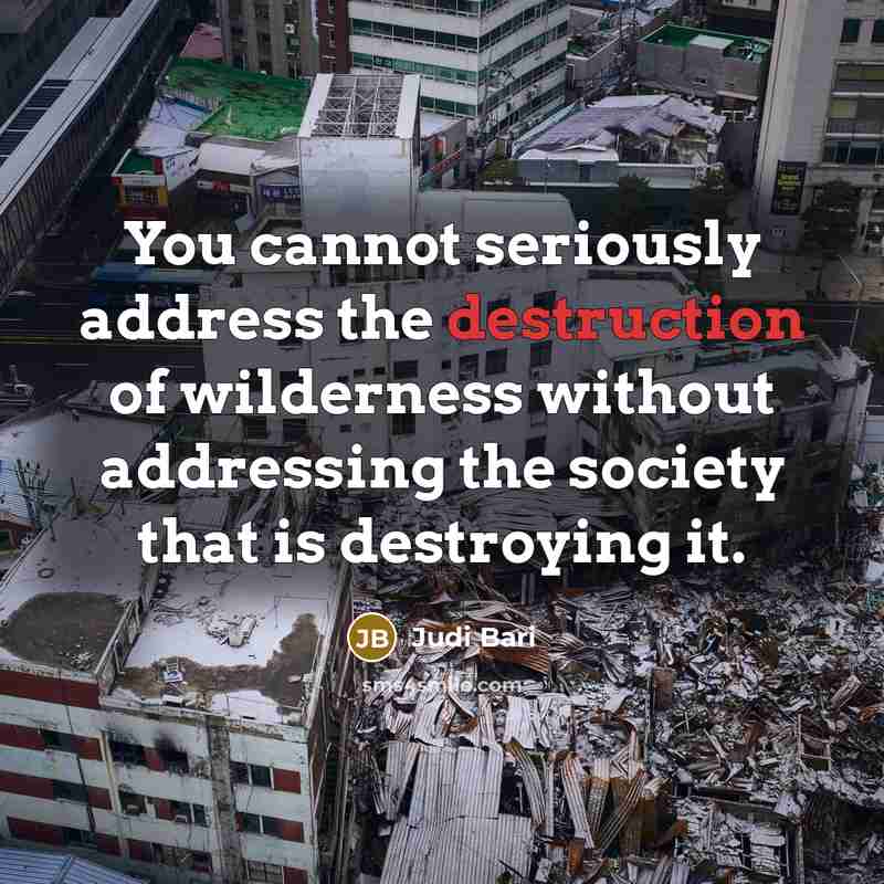 “You cannot seriously address the destruction of wilderness without addressing…” quote by Judi Bari