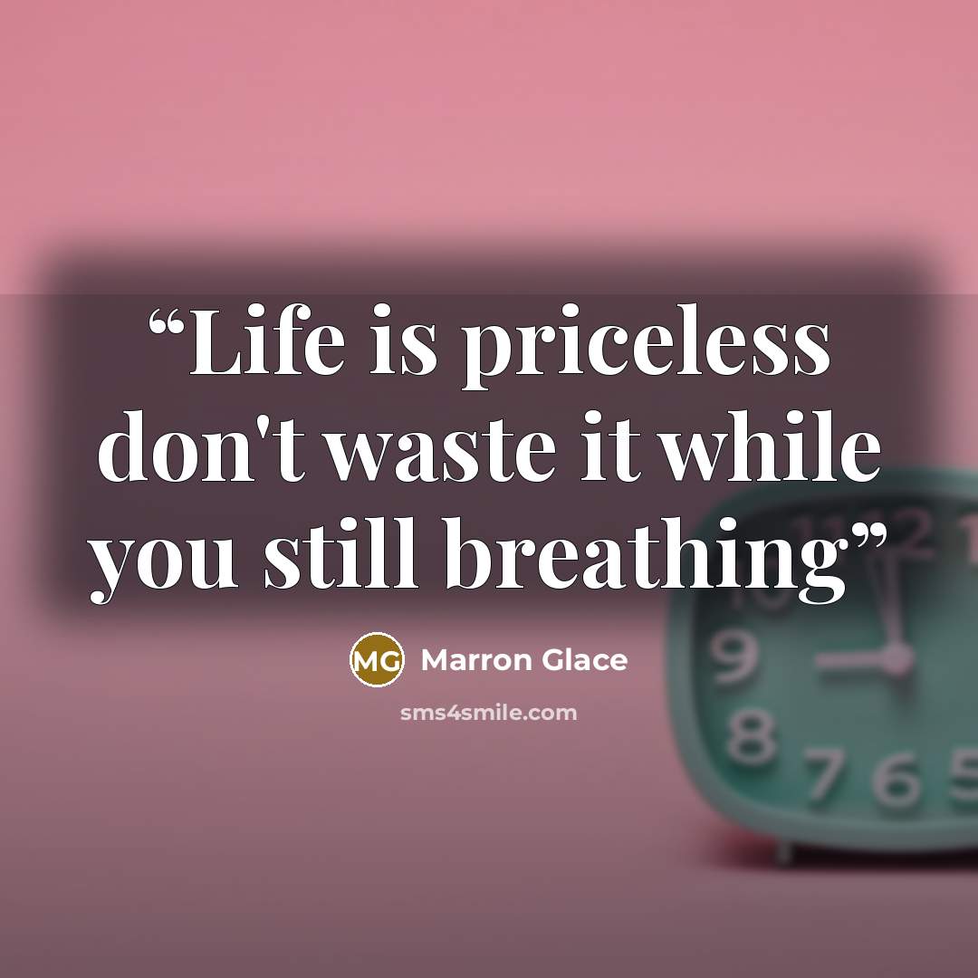 “Life is priceless don't waste it while you still breathing” quote by Marron Glace
