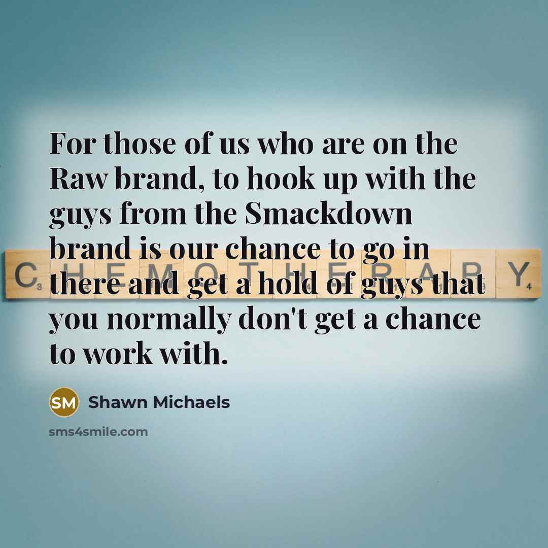 “For those of us who are on the Raw brand,…” quote by Shawn Michaels
