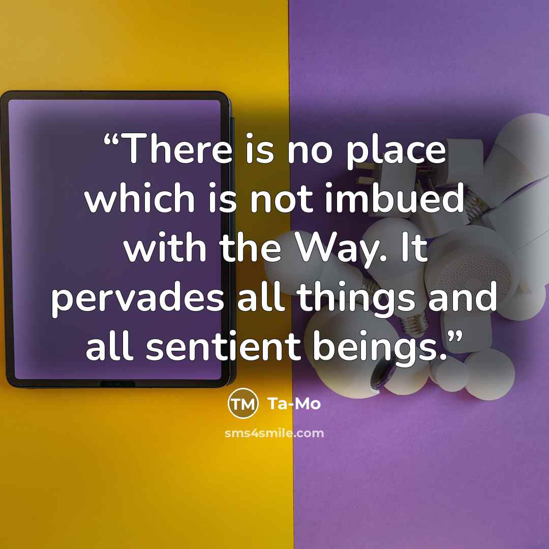 “There is no place which is not imbued with the Way. It pervades all things and all sentient beings.” quote by Ta-Mo