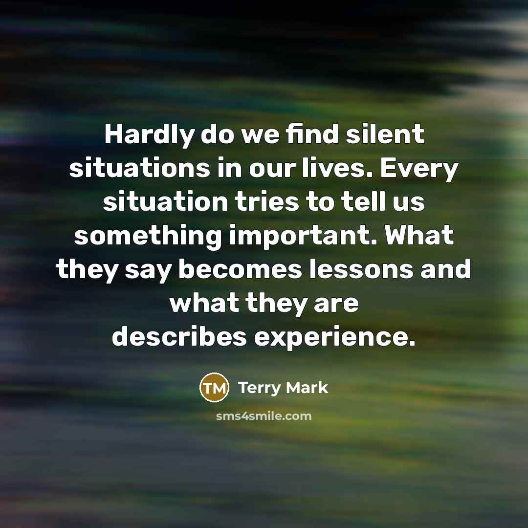 “Hardly do we find silent situations in our lives. Every…” quote by Terry Mark