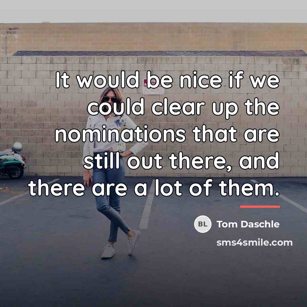 “It would be nice if we could clear up the…” quote by Tom Daschle