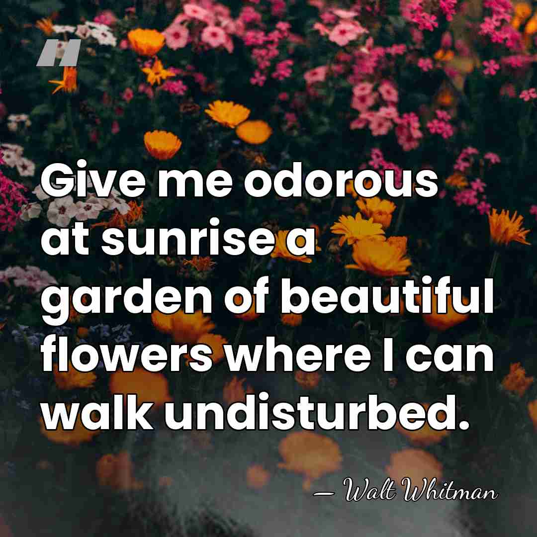 Give me odorous at sunrise a garden of beautiful flowers where I&hellip; - Walt Whitman