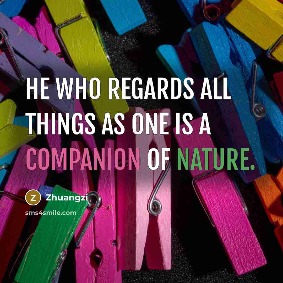 “He who regards all things as one is a companion…” quote by Zhuangzi