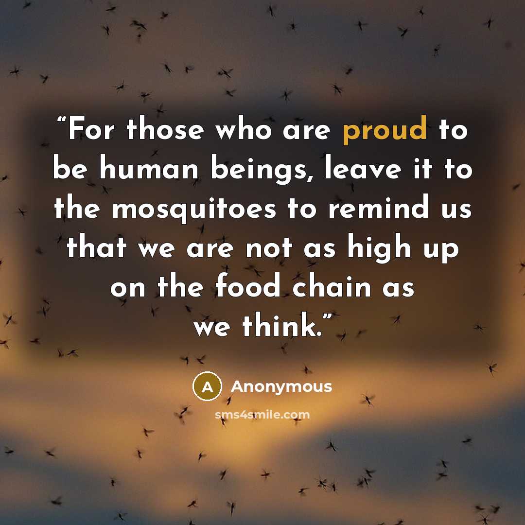 “For those who are proud to be human beings, leave it to the mosquitoes to remind us that we are not as high up on the food chain as we think.” quote by Anonymous
