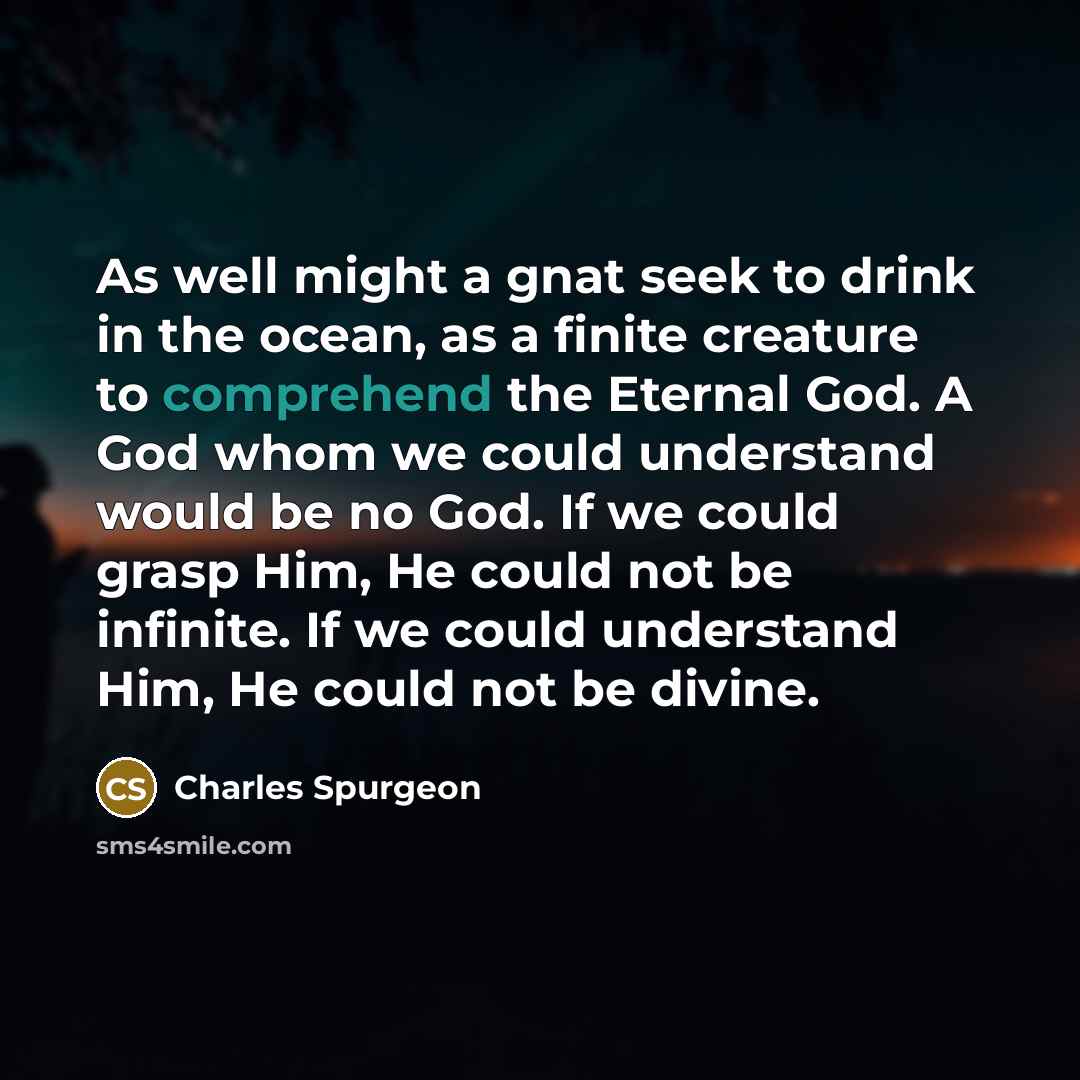 “As well might a gnat seek to drink in the…” quote by Charles Spurgeon