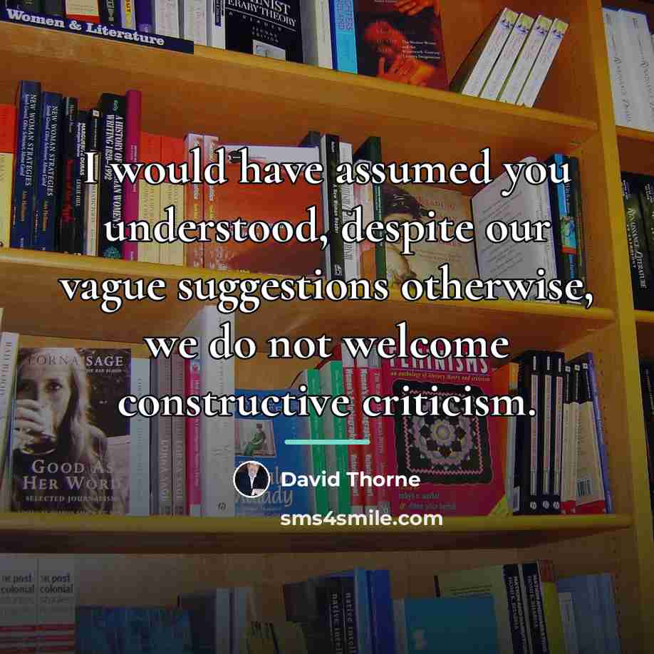 “I would have assumed you understood, despite our vague suggestions…” quote by David Thorne