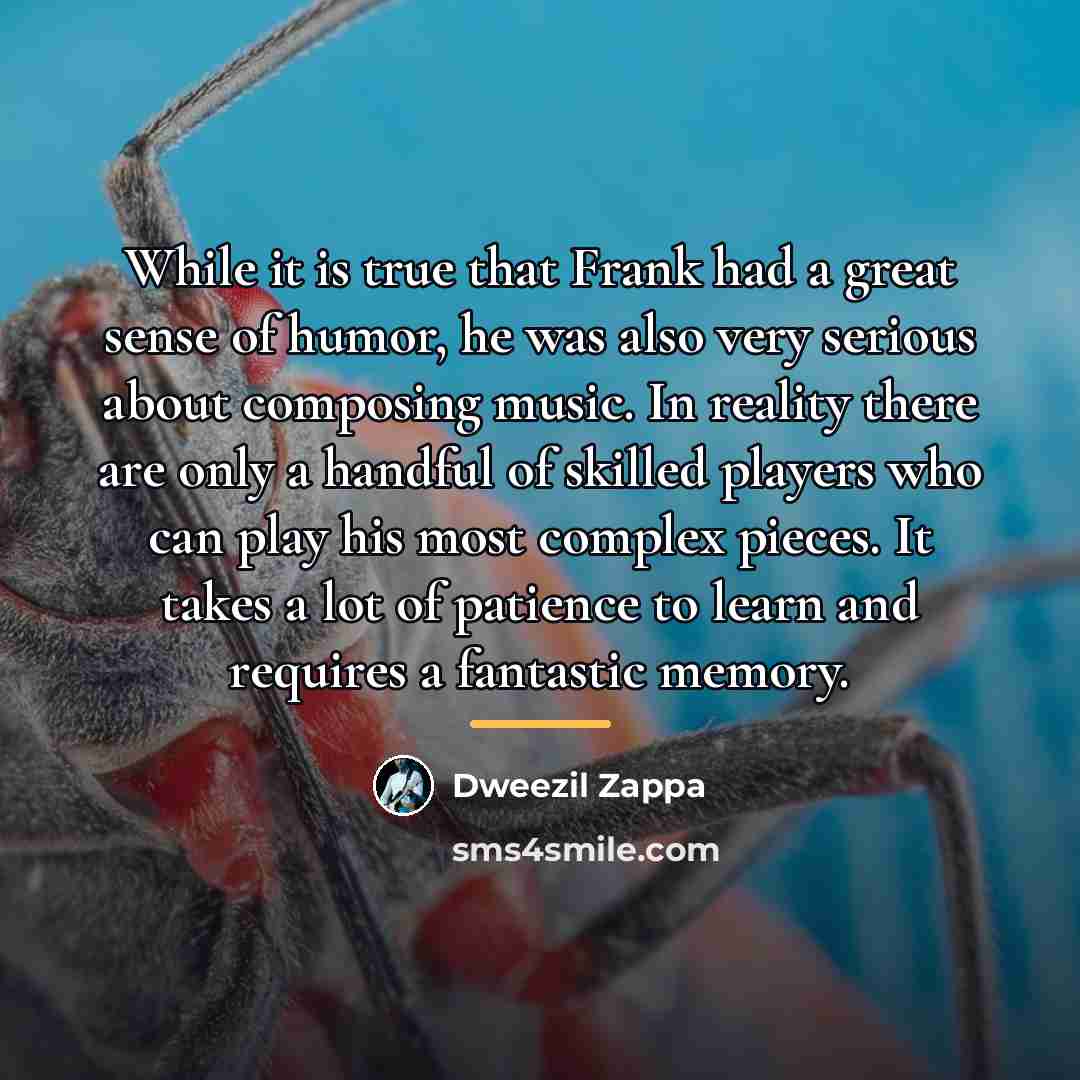 “While it is true that Frank had a great sense…” quote by Dweezil Zappa