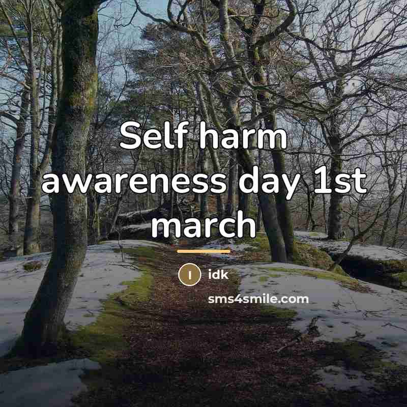 “Self harm awareness day 1st march…” quote by Idk