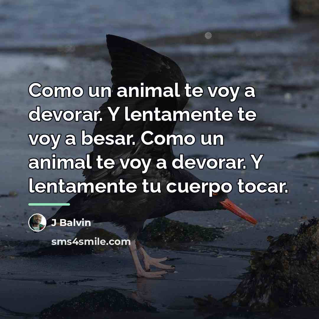 “Como un animal te voy a devorar. Y lentamente te…” quote by J Balvin