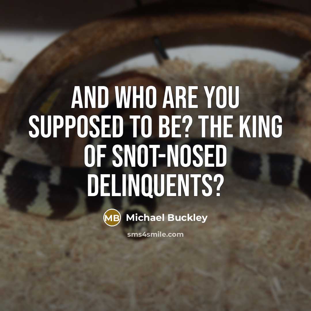 “And who are you supposed to be? the King of snot-nosed delinquents?” quote by Michael Buckley