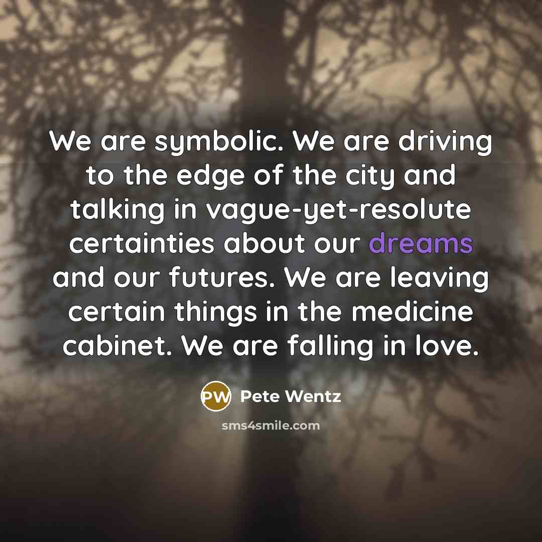 “We are symbolic. We are driving to the edge of…” quote by Pete Wentz