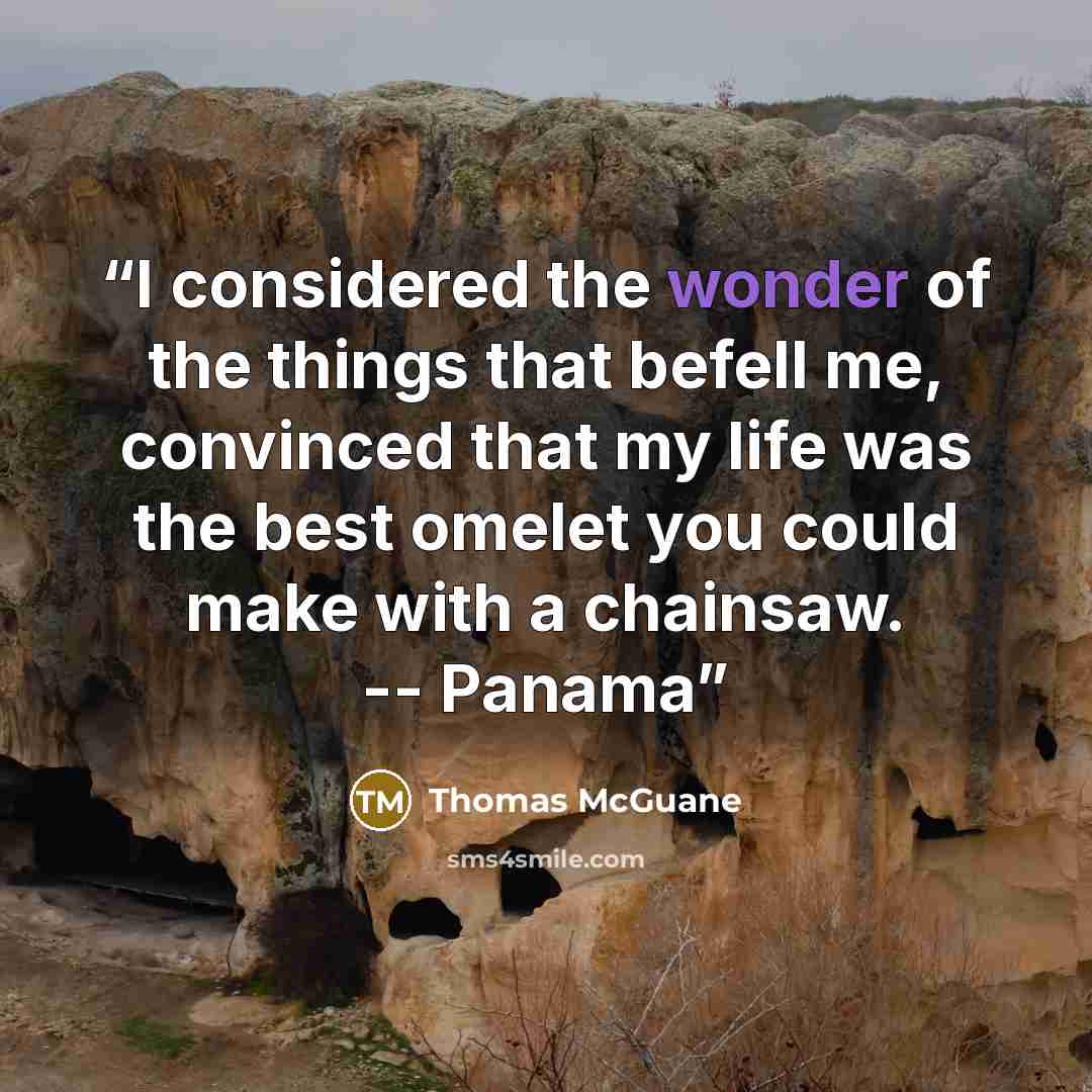 “I considered the wonder of the things that befell me, convinced that my life was the best omelet you could make with a chainsaw. -- Panama” quote by Thomas McGuane