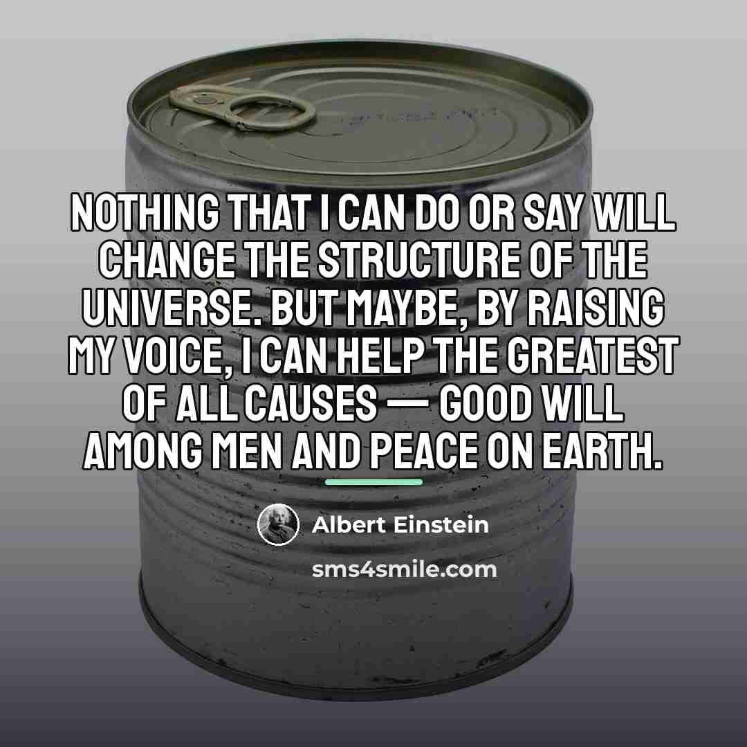 “Nothing that I can do or say will change the…” quote by Albert Einstein