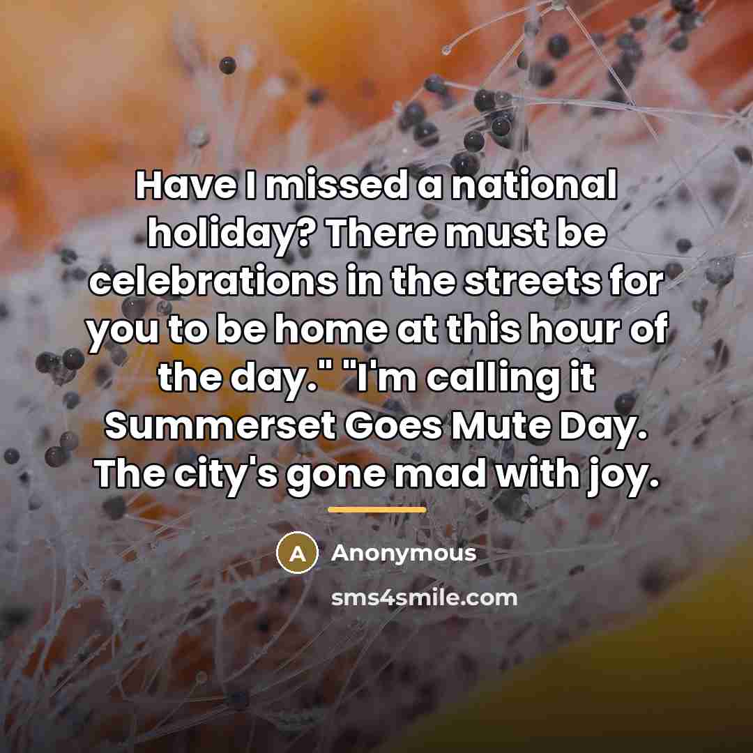 “Have I missed a national holiday? There must be celebrations…” quote by Anonymous