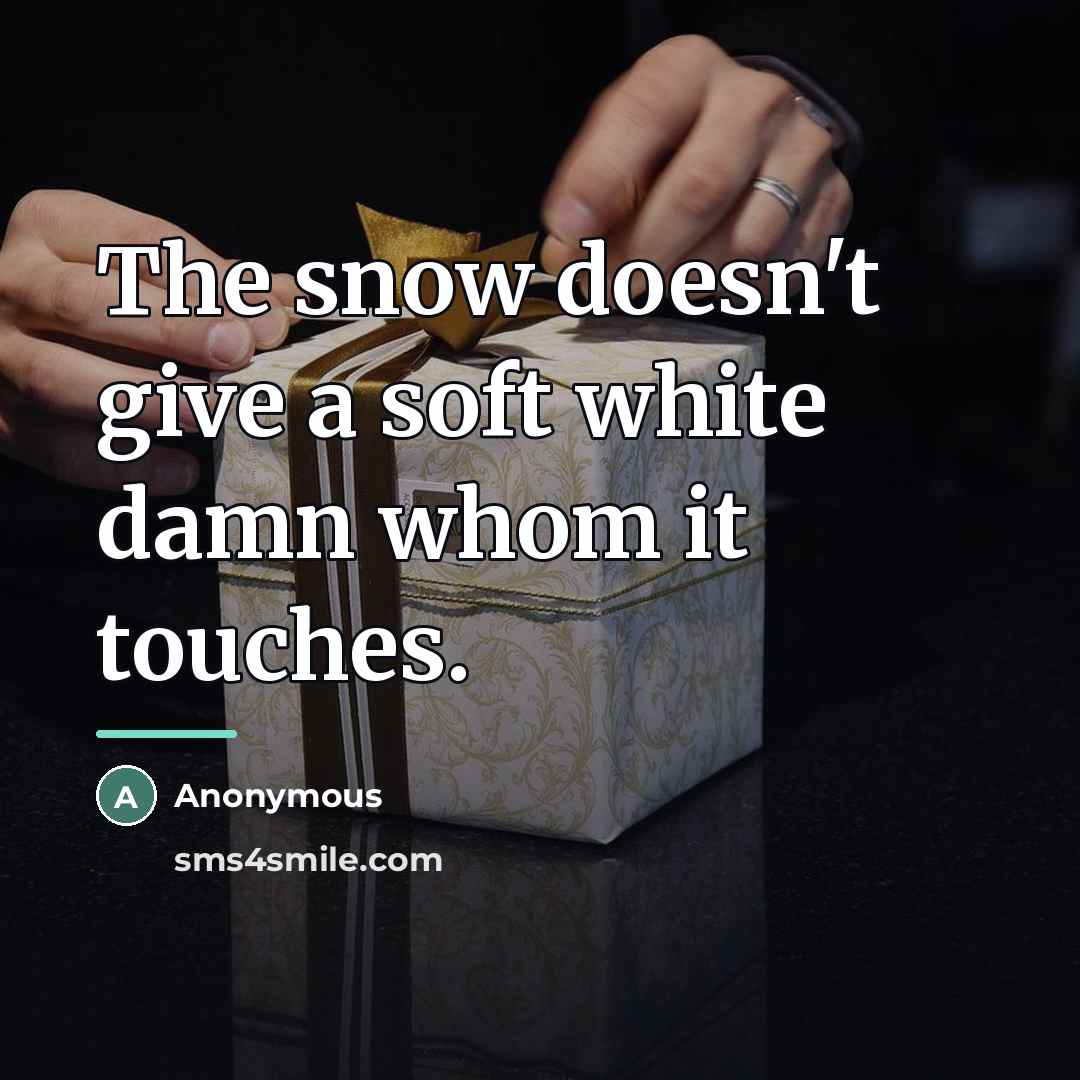“The snow doesn't give a soft white damn whom it…” quote by Anonymous
