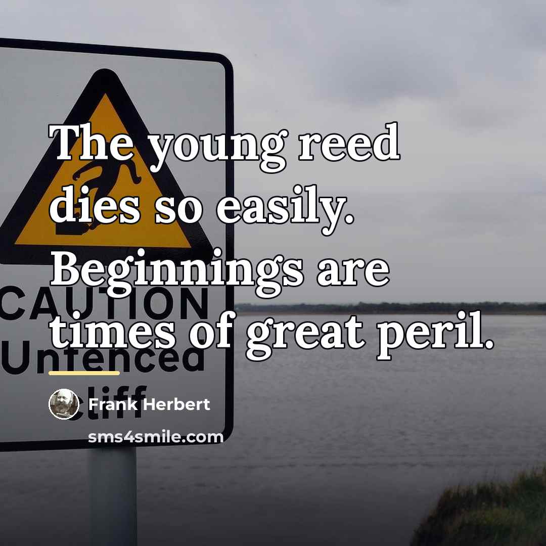 “The young reed dies so easily. Beginnings are times of…” quote by Frank Herbert