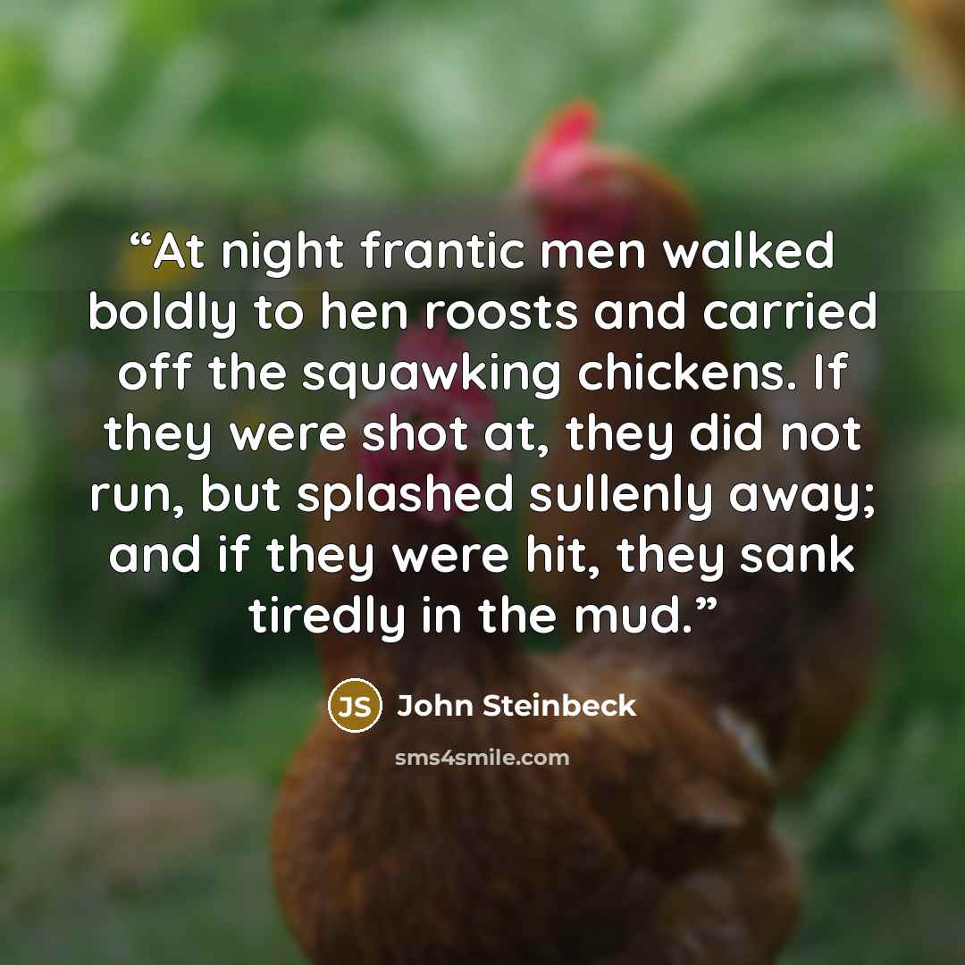 “At night frantic men walked boldly to hen roosts and carried off the squawking chickens. If they were shot at, they did not run, but splashed sullenly away; and if they were hit, they sank tiredly in the mud.” quote by John Steinbeck