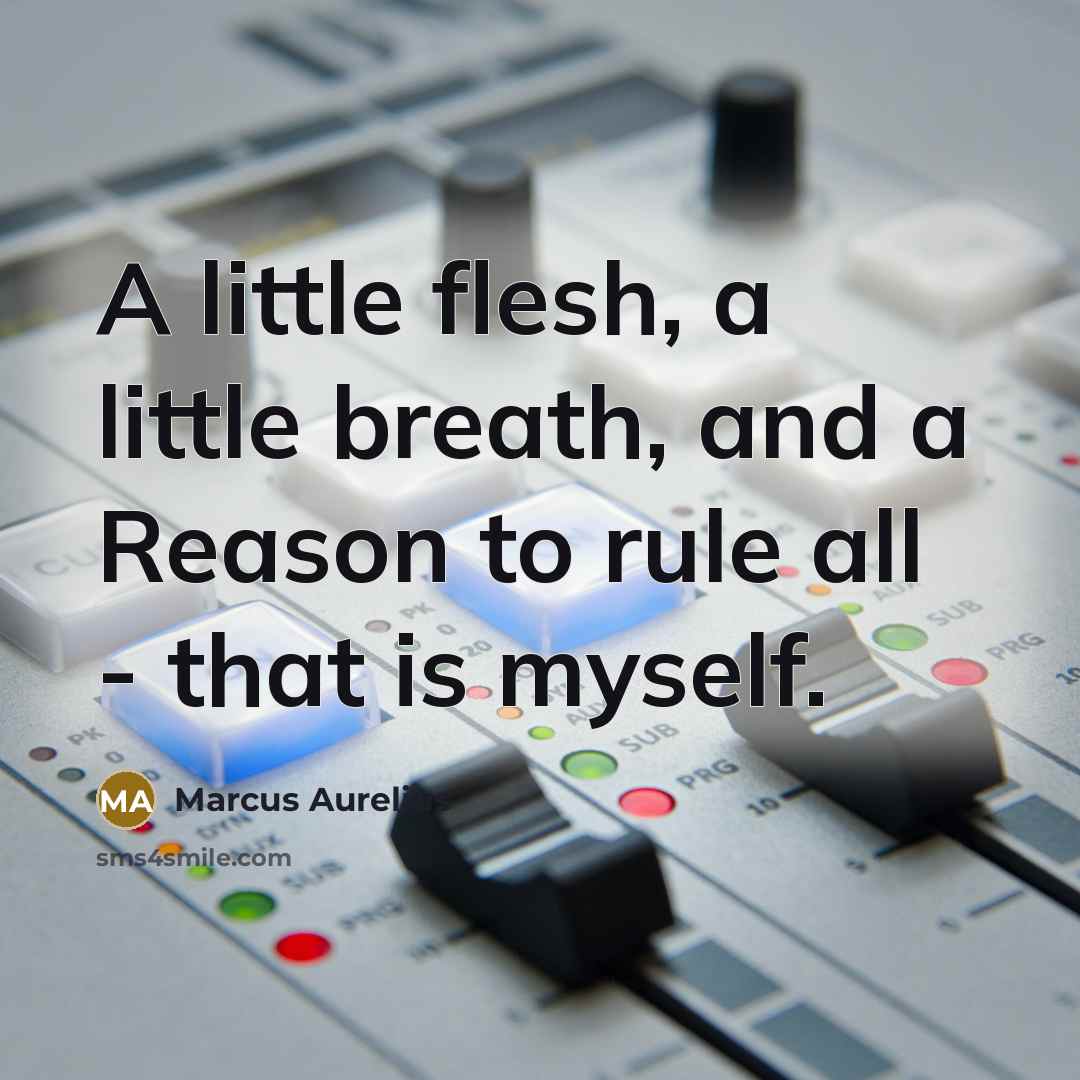 “A little flesh, a little breath, and a Reason to…” quote by Marcus Aurelius