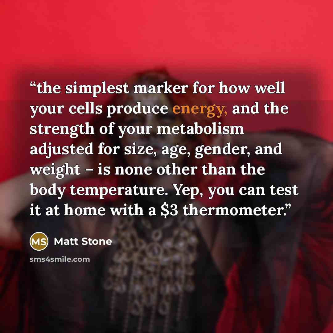 “the simplest marker for how well your cells produce energy, and the strength of your metabolism adjusted for size, age, gender, and weight – is none other than the body temperature. Yep, you can test it at home with a $3 thermometer.” quote by Matt Stone