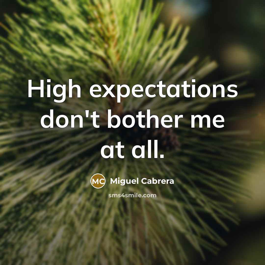 “High expectations don't bother me at all.…” quote by Miguel Cabrera
