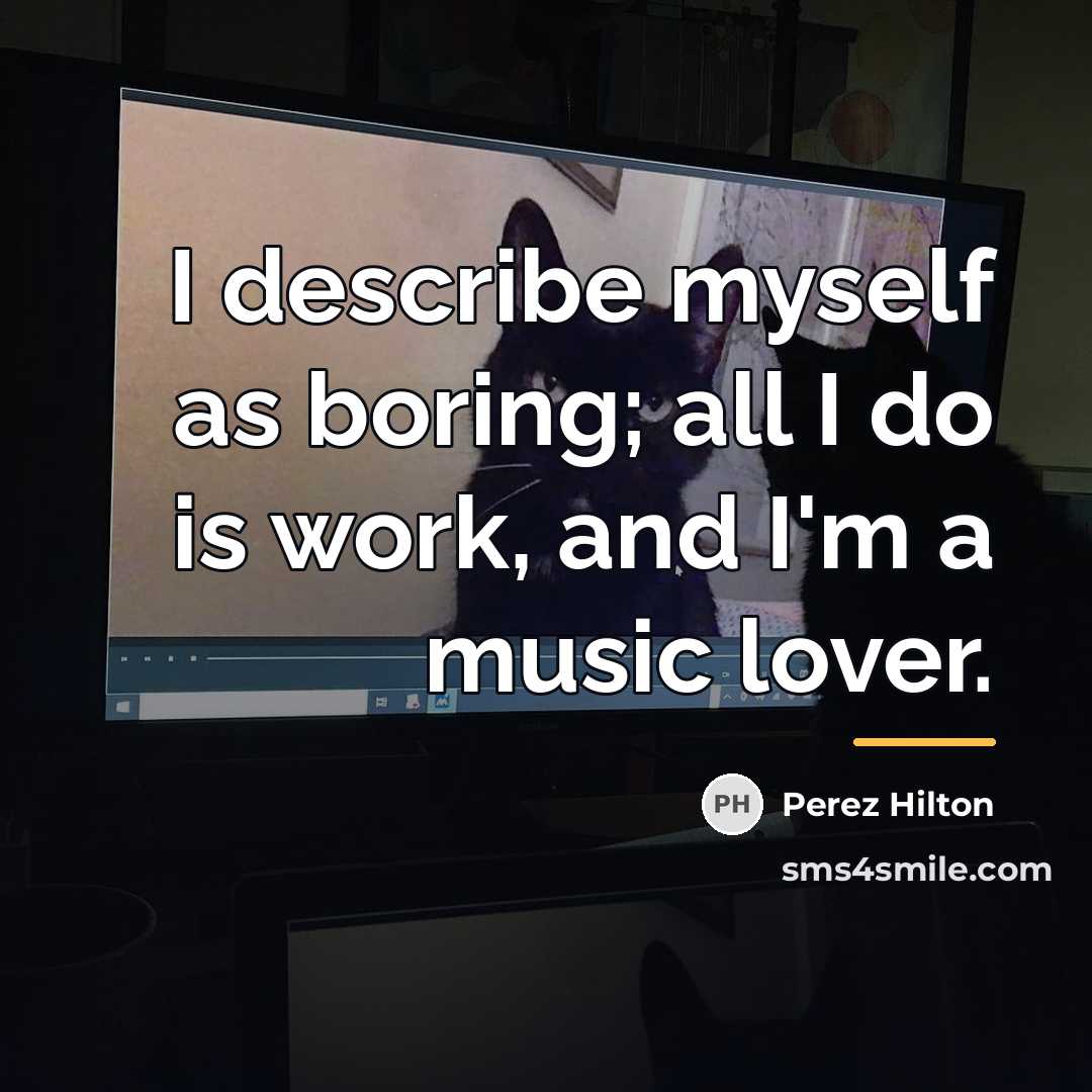 “I describe myself as boring; all I do is work,…” quote by Perez Hilton