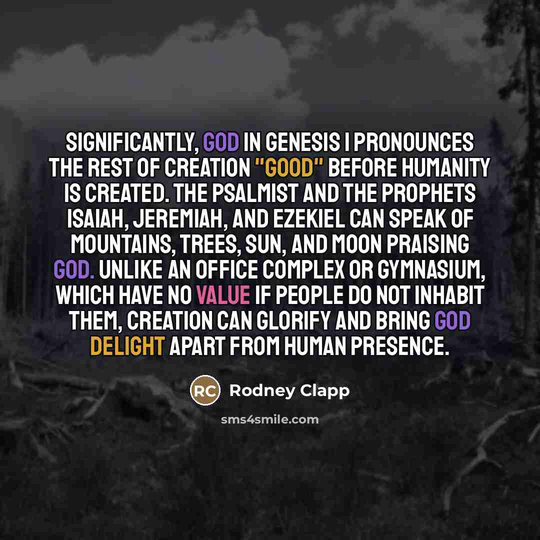 “Significantly, God in Genesis 1 pronounces the rest of creation…” quote by Rodney Clapp