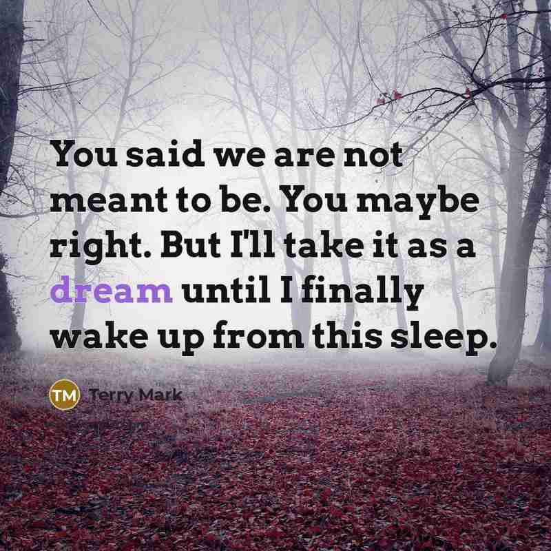 “You said we are not meant to be. You maybe right. But I'll take it as a dream until I finally wake up from this sleep.” quote by Terry Mark