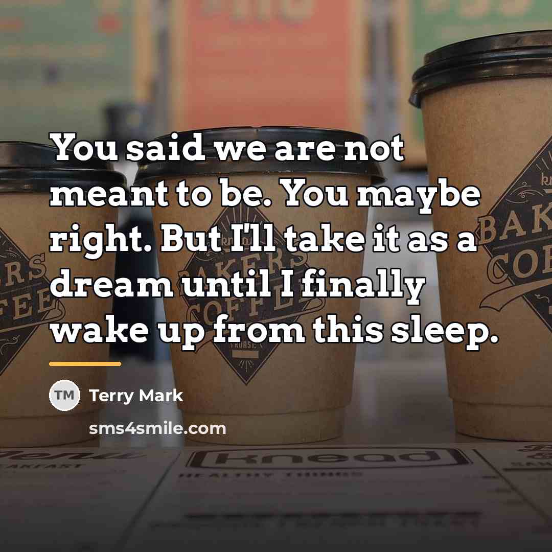 “You said we are not meant to be. You maybe…” quote by Terry Mark