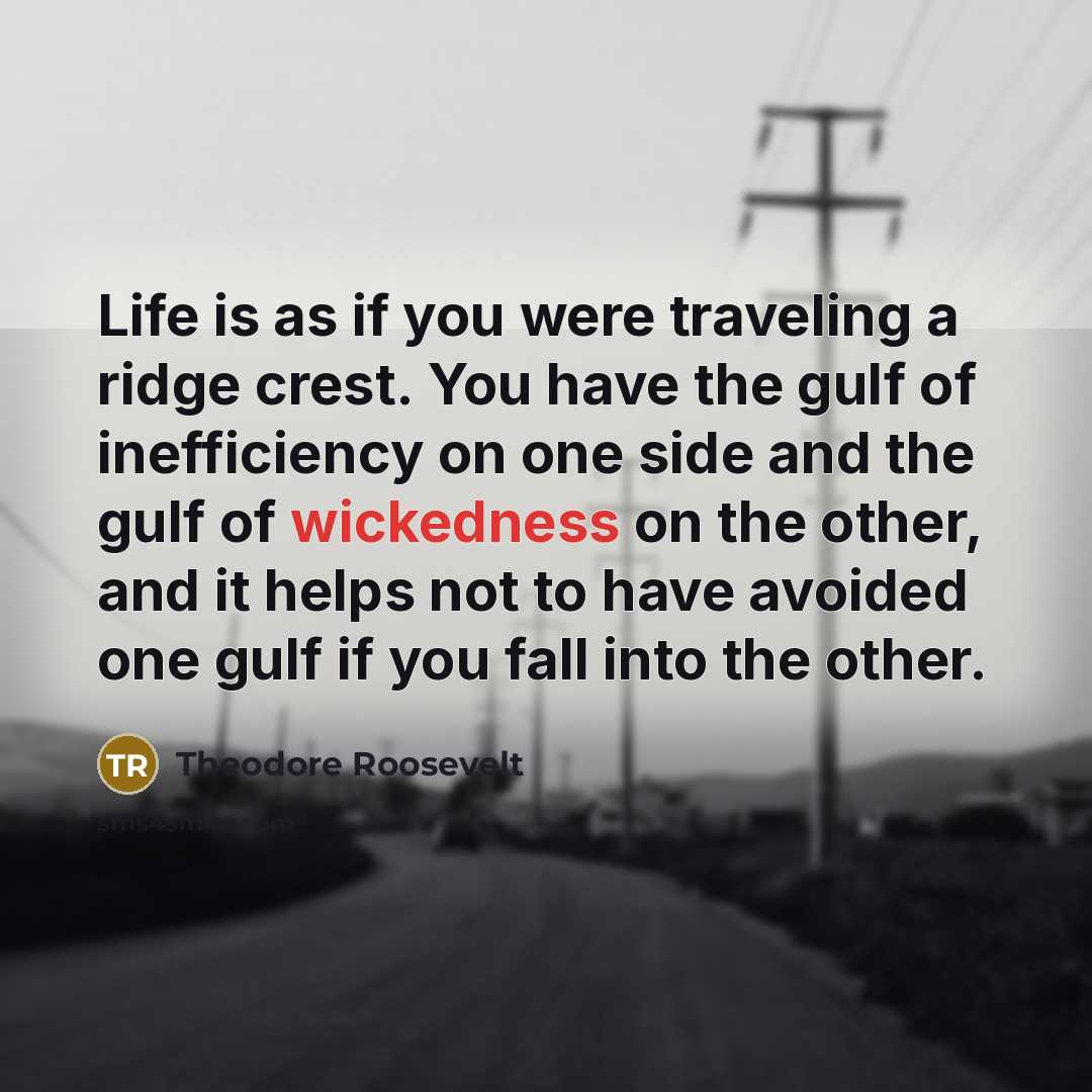 “Life is as if you were traveling a ridge crest.…” quote by Theodore Roosevelt