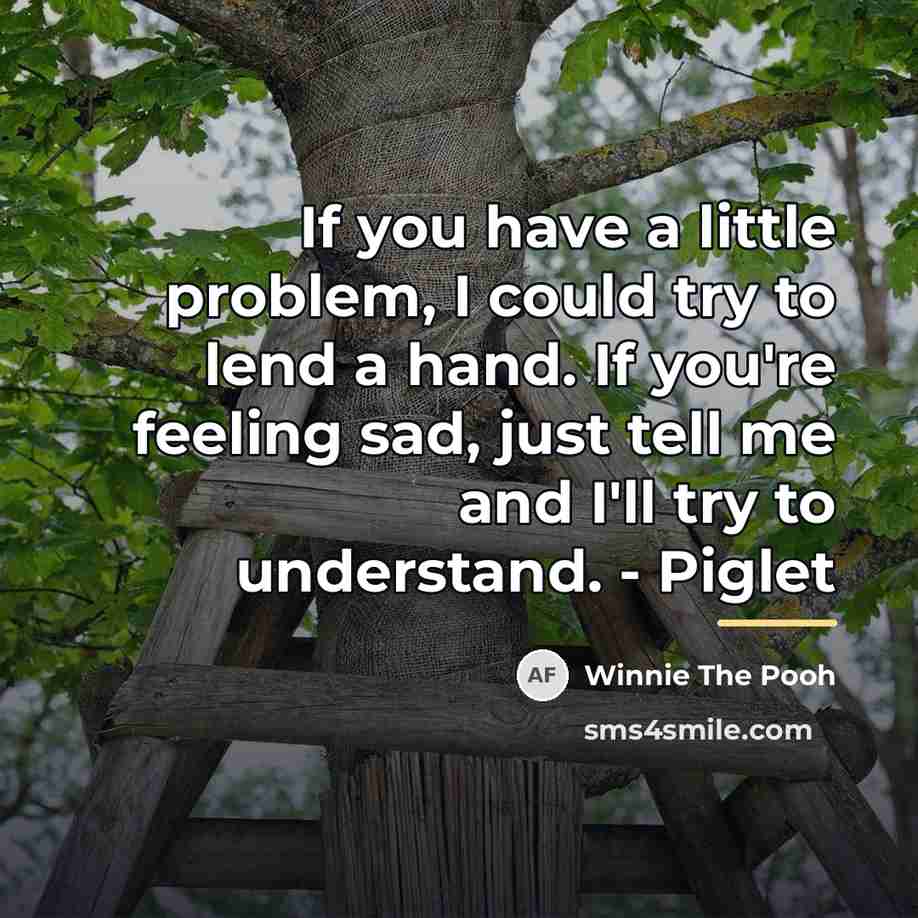 “If you have a little problem, I could try to…” quote by Winnie The Pooh