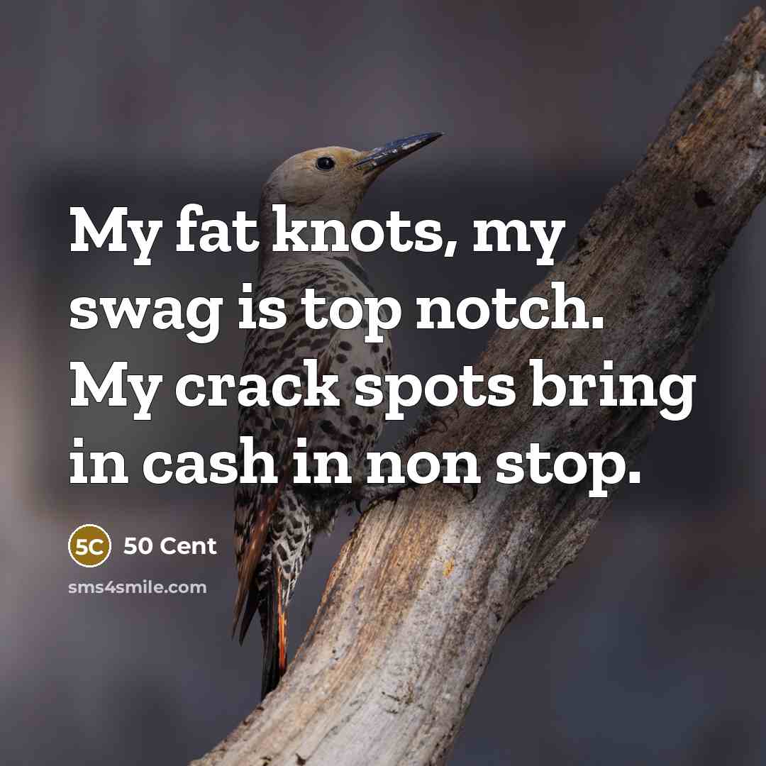 “My fat knots, my swag is top notch. My crack spots bring in cash in non stop.” quote by 50 Cent