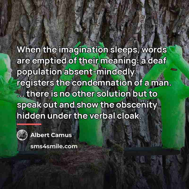 “When the imagination sleeps, words are emptied of their meaning:…” quote by Albert Camus