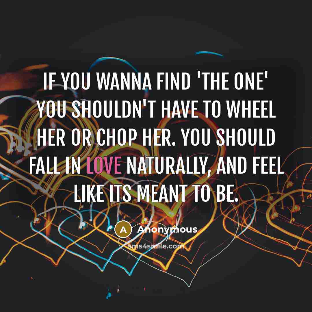 “If you wanna find 'the one' you shouldn't have to…” quote by Anonymous