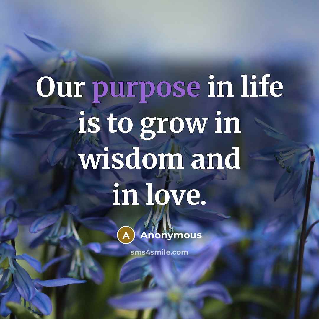 “Our purpose in life is to grow in wisdom and…” quote by Anonymous