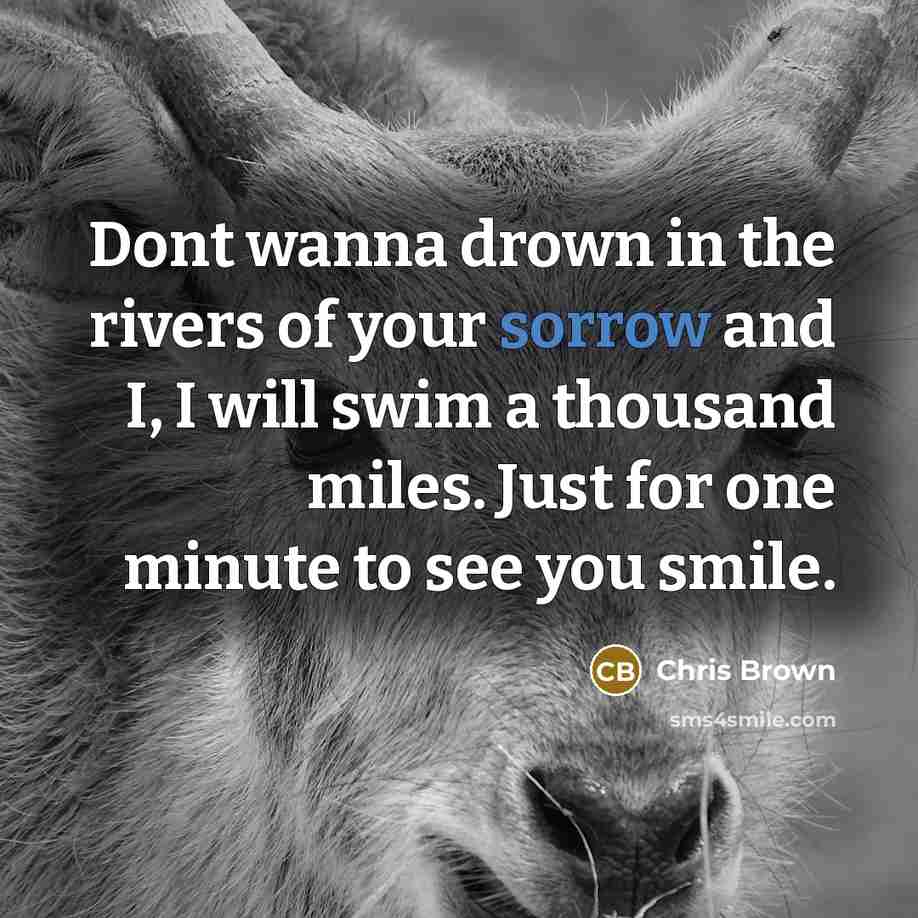 “Dont wanna drown in the rivers of your sorrow and…” quote by Chris Brown