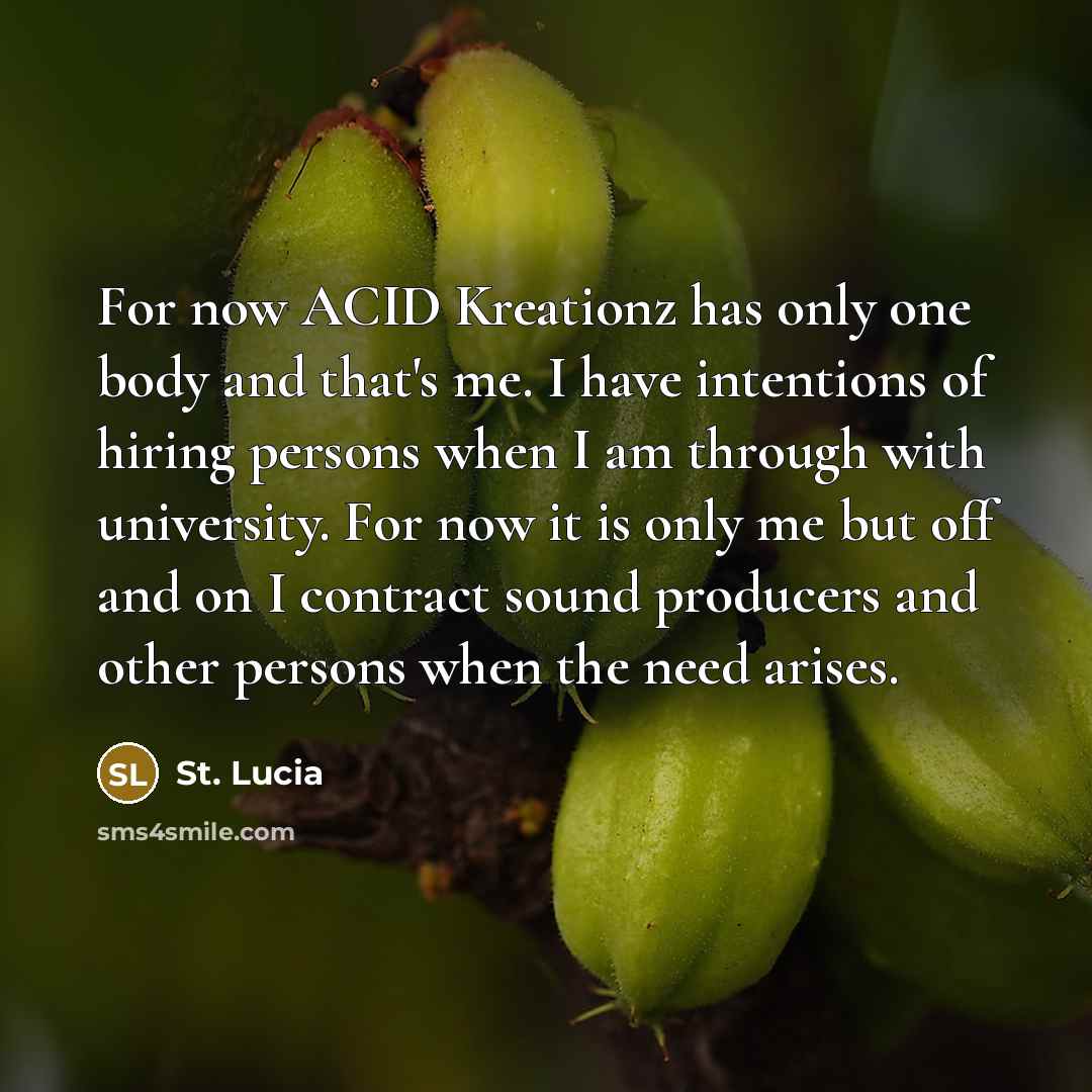 “For now ACID Kreationz has only one body and that's…” quote by St. Lucia